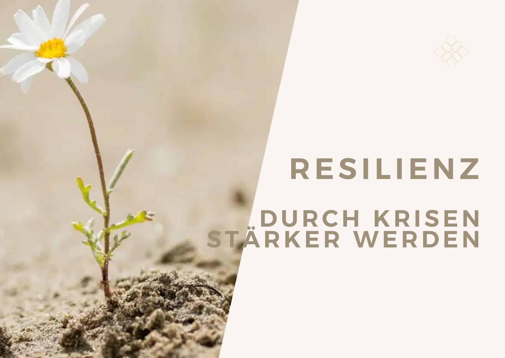 Resilienz - Durch Krisen stärker werden