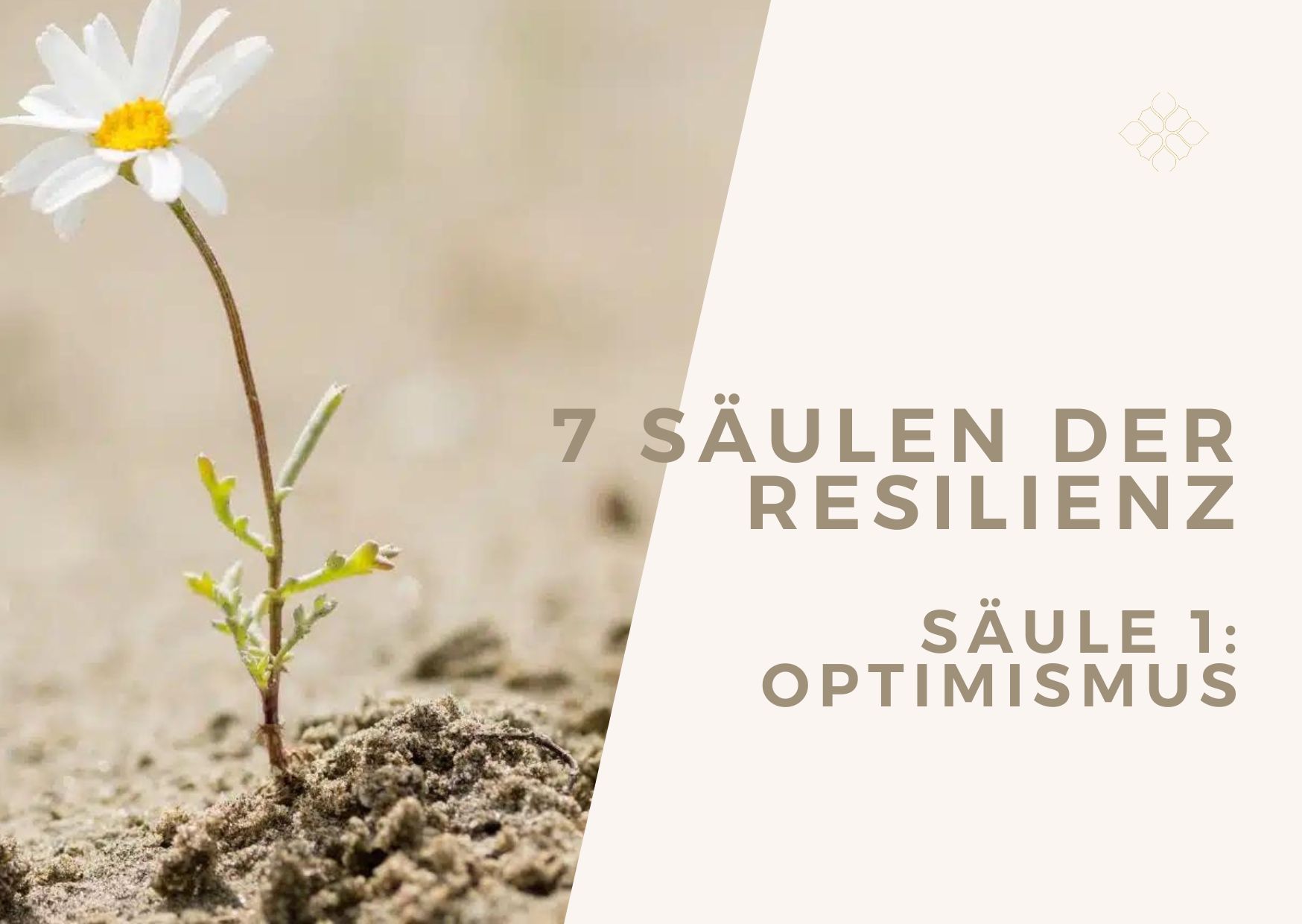 7 Säulen der Resilienz – Säule 1: Optimismus